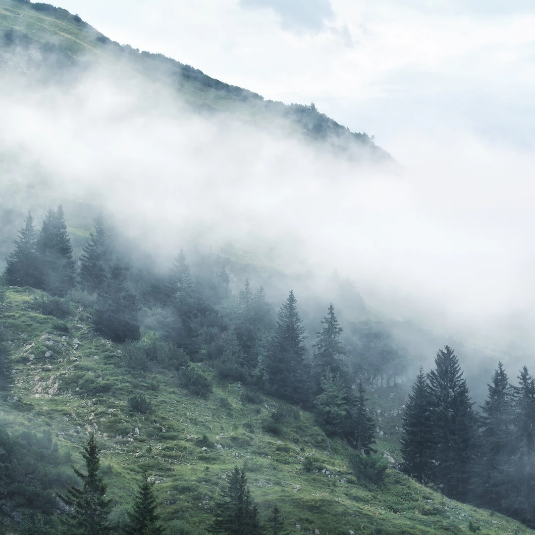 Berge in Nebel gehüllt